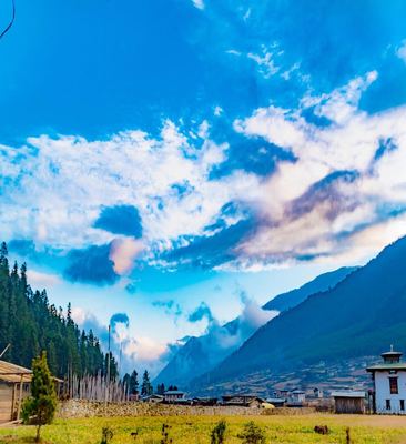 Mystic Bhutan