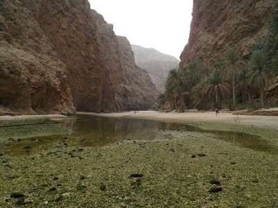 Wadi Oman