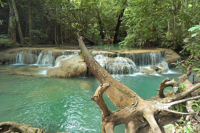 Forests in Thailand